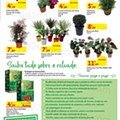 Antevisão Folheto AUCHAN Promoções de 3 a 16 março d15.jpg